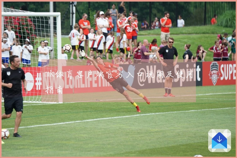 mk体育客户端官方入口说明及使用指南
