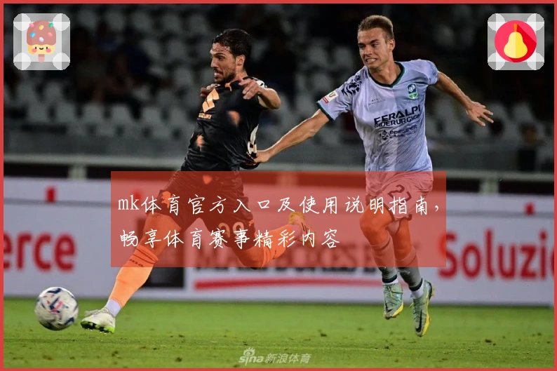 mk体育官方入口及使用说明指南，畅享体育赛事精彩内容